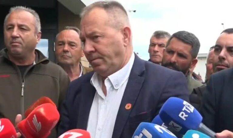 Gucati: Trendafilova kur vjen në Kosovë, vjen për të zezë – ka ardhur ta destabilizojë vendin