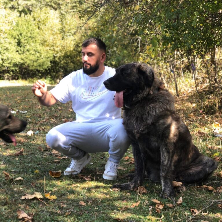 Nuk iu mbijetoi plagëve, vdes në QKUK personi që u ther me thikë mbrëm në Prizren