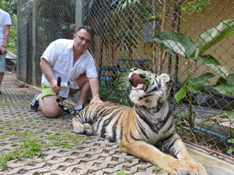 E kaluara kriminale e Mefail Shkodrës me djemt e tij, Prokuroria në Gjilan jep detaje të reja